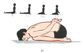 Sasankasana(Moon Posture)